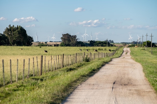 Eenzame rechte weg door het landschap met aan de horizon een windmolenpark