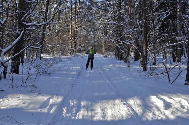 Eenzame skiër in het winterbos