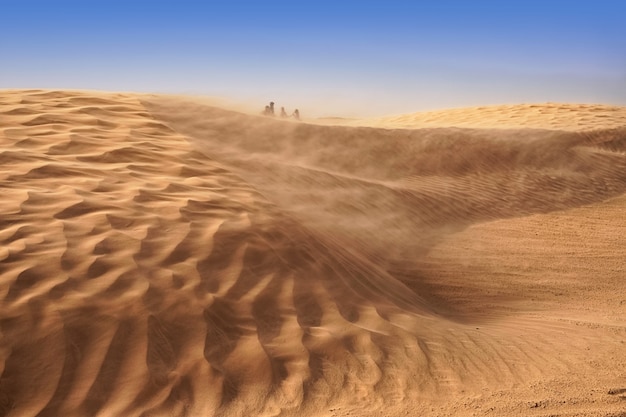 Eenzame zandduinen in een sterke wind onder de hemel tegen de achtergrond van dorre woestijn