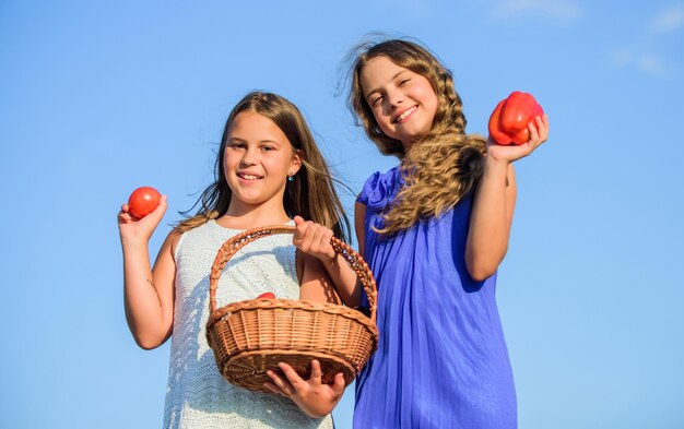 Eerste ervaring kinderen op zomerboerderij Biologisch voedsel kleine meisjes groente in mand Alleen natuurlijke oogst vitamine lente markttuin kinderen landbouw herfstoogst gezond eten is gelukkig leven