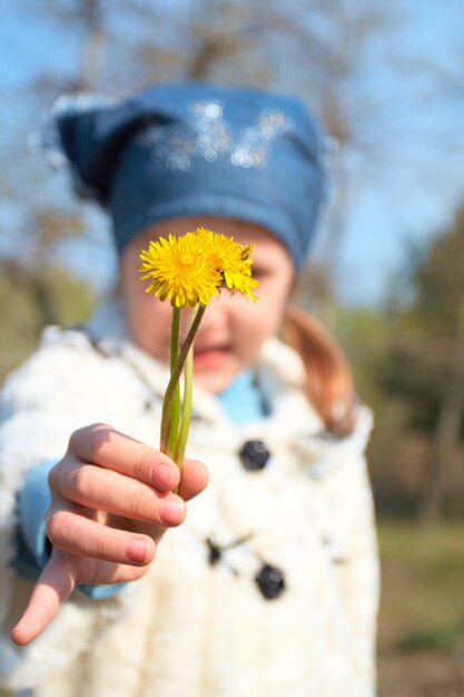 Eerste lenteboeket van paardebloemen