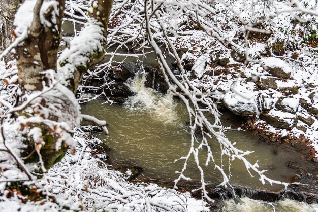 Eerste sneeuw in de bergen