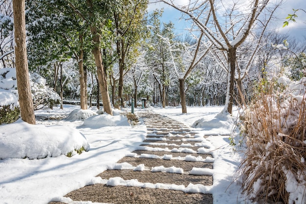 Eerste sneeuw in de stad Besneeuwde straten Herfst stadsgezicht groene bladeren in de sneeuw