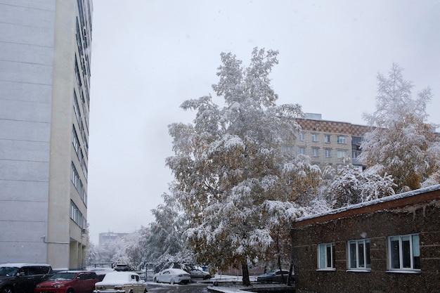 Eerste sneeuw op de herfstbomen, takken en bladeren van de straten van de stad