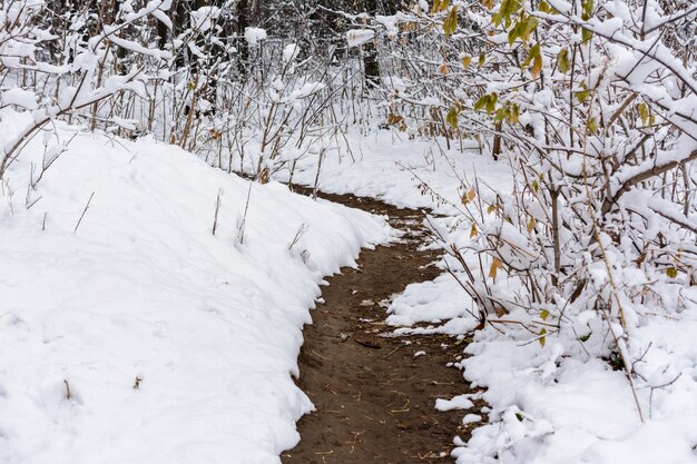 Eerste sneeuw. Winter parcours. Winterlandschap.