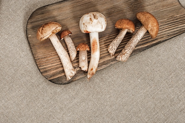 Eetbare paddenstoelen berkenboleet, oranje boletus, champignon