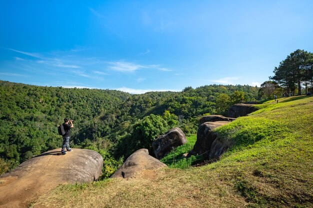 Eeuwig bloemengebied bij het park van phu hin rong kla, phitsanulok, thailand.