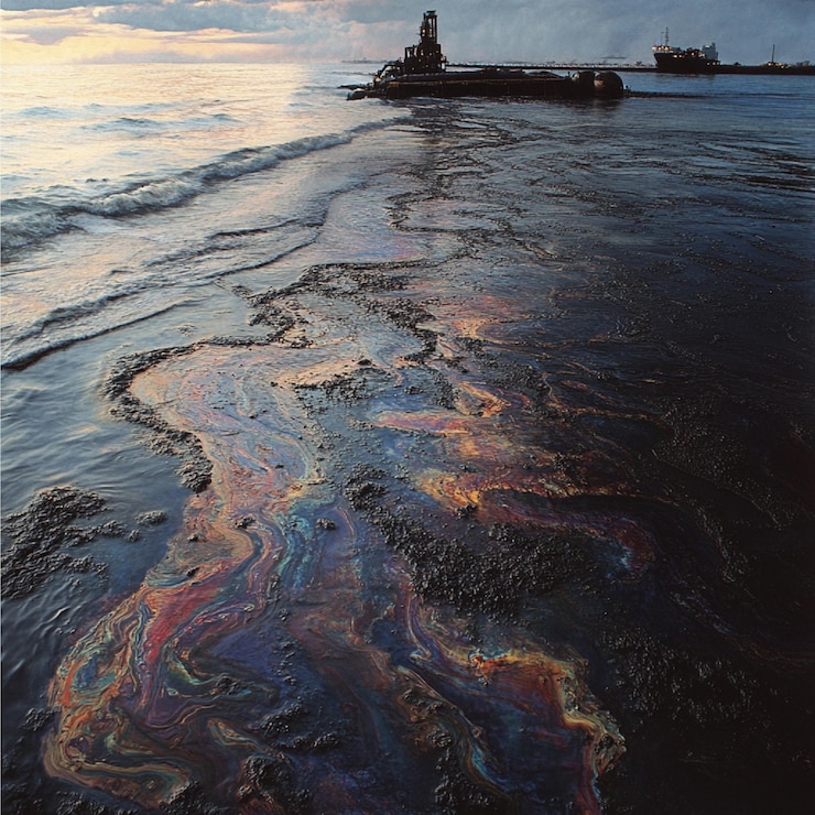 Photo efforts to clean up and rehabilitate areas affected by oil spills