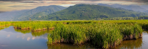 Efteni Lake Duzce City Turkey