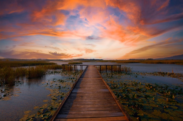 Efteni Lake Duzce City Turkey