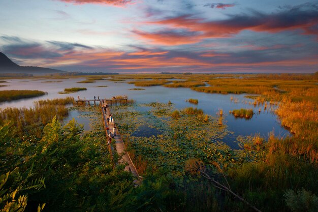 Efteni Lake Duzce City Turkey