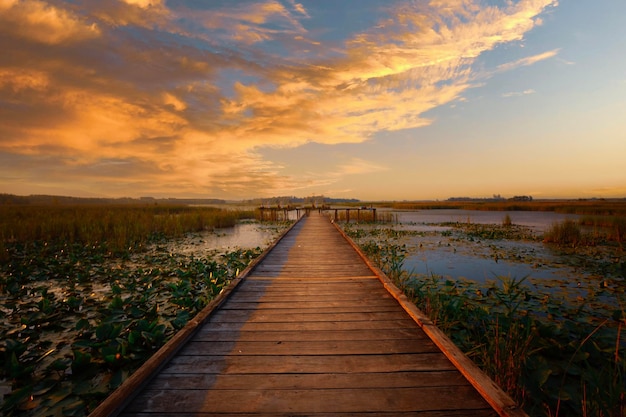 Efteni Lake Duzce City Turkije