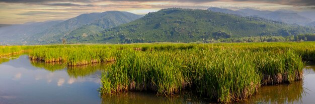 Efteni Lake Duzce City Turkije