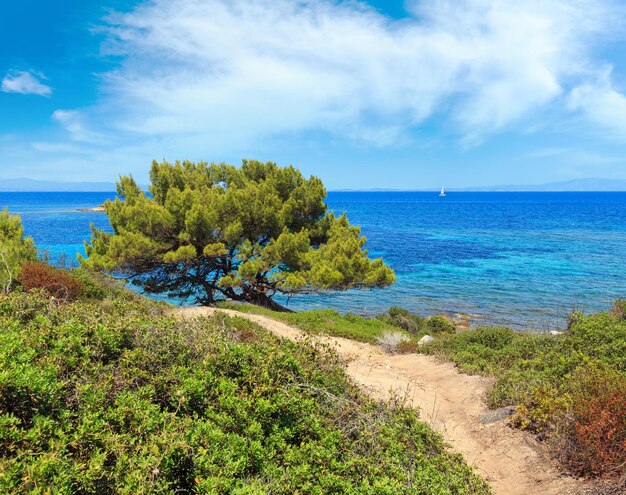 Egeïsche zeekust Chalkidiki Griekenland