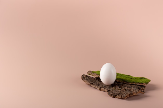 an egg on the bark of a tree on a delicate background with a copy of the space