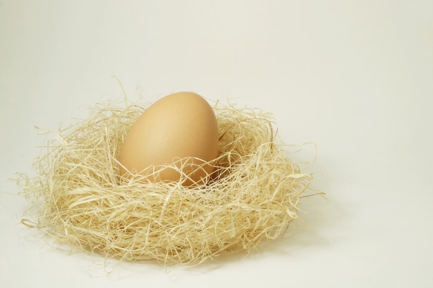 Egg in a bird's nest                        