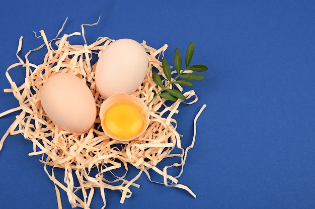 Photo egg on a blue background. minimalistic trend, top view. egg tray. easter concept.