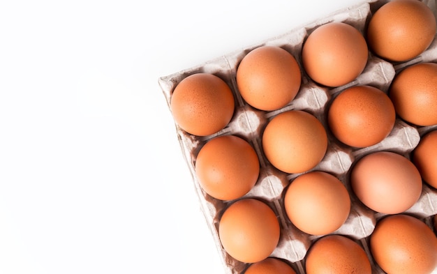 Egg box with brown eggs on white background Fresh organic chicken eggs in carton pack with