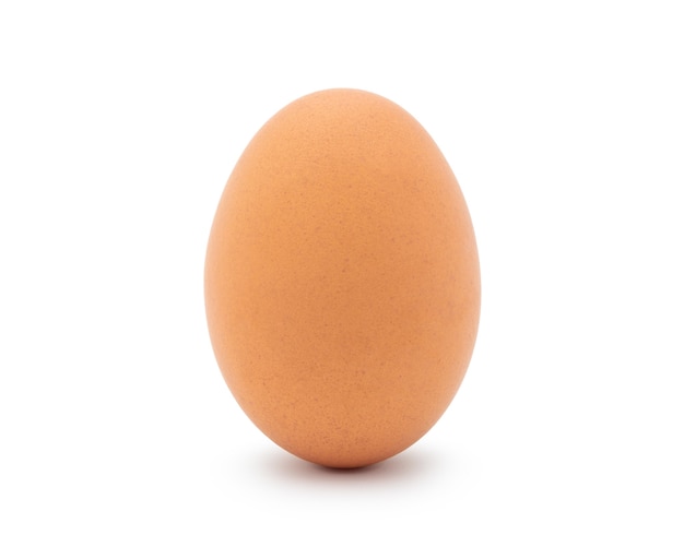 Egg chicken isolated on white background.