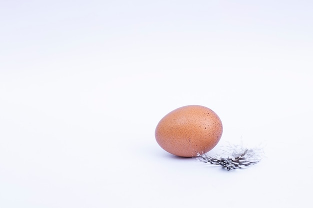 egg and feather on white surface