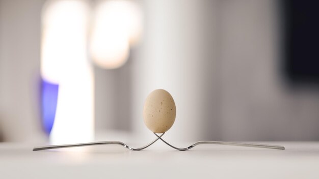 Photo egg on fork at home