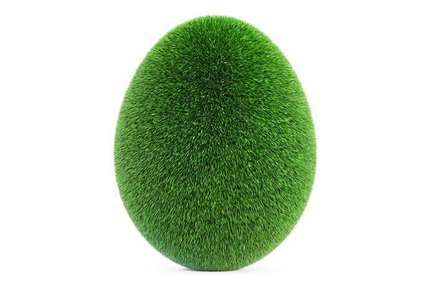 Egg from grass eco concept 3D rendering