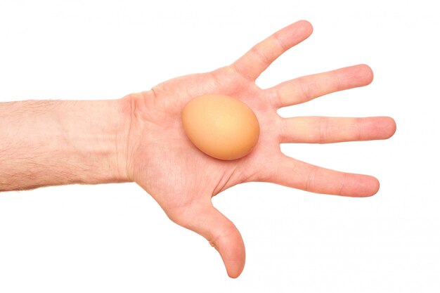 Egg in a hand on white. Top view