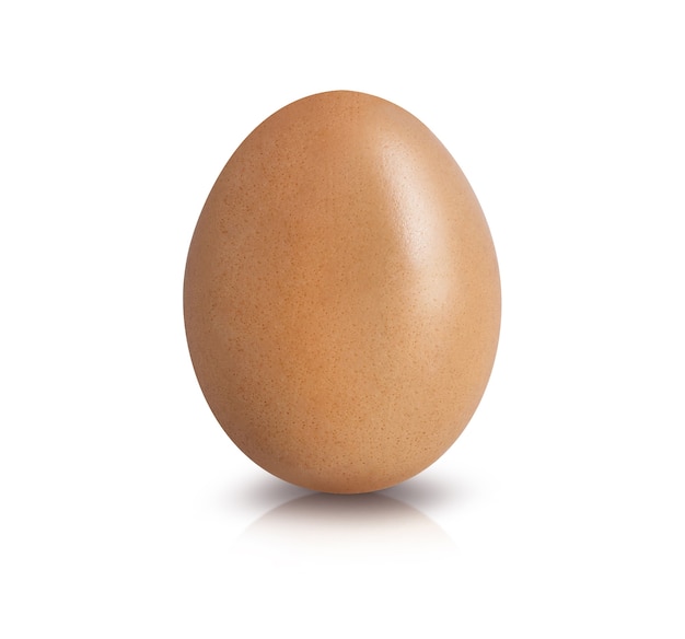 Яйцо изолированное на белом вырезе предпосылки. С обтравочным контуром