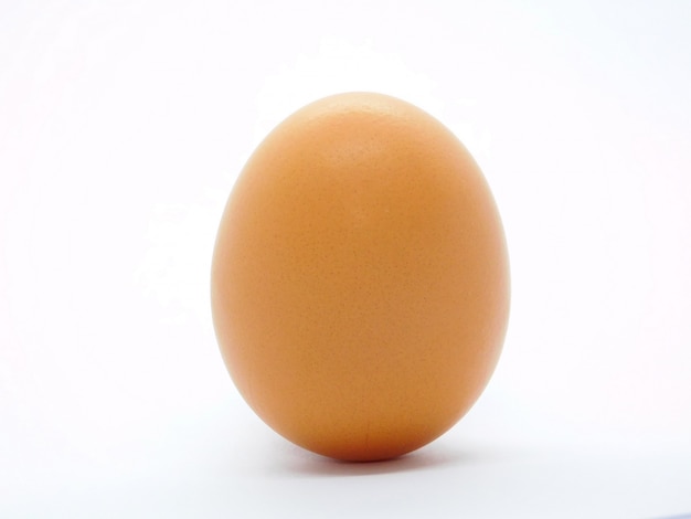 Egg Isolated on White Background