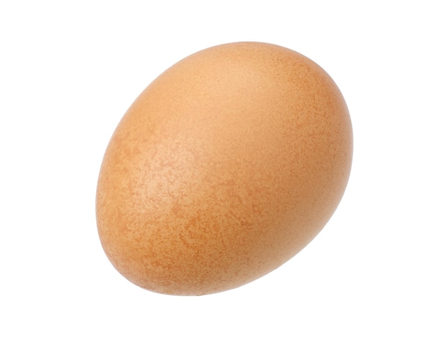 Egg isolated