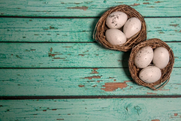 Egg in nest on blue wooden background