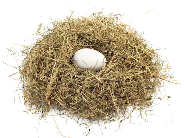 Photo egg in nest isolated on white surface