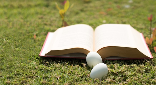 egg on old book in history of easter concept