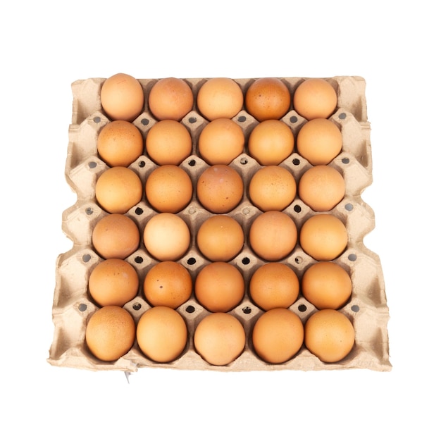 egg panel isolated on white background duck