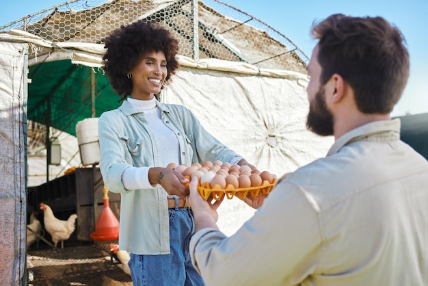 Egg production chicken farmer and people in barn to check stock logistics and supply chain of food industry Happy black woman poultry farming and eggs for growth export or eco startup management