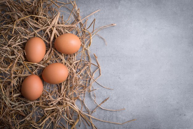 Egg on rice straw on grey background.