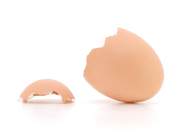 Egg shell isolated