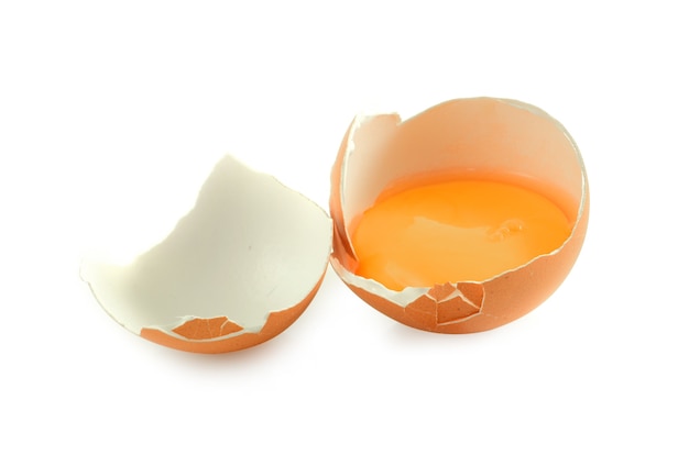 Egg shell on white background