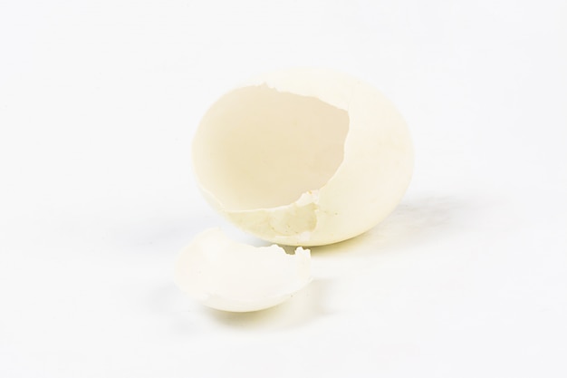 Egg shell on white background 