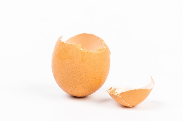 Egg shell on white background 