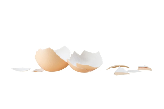 Egg shell on white background