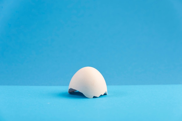 写真 青い淡い背景に卵の殻