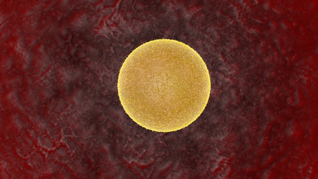 3D визуализация концепции оплодотворения и имплантации яйцеклеток и спермы