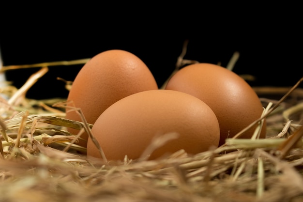 egg. straw. on wood.  black background