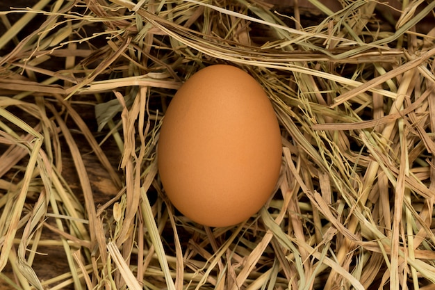 Egg. straw. on wood