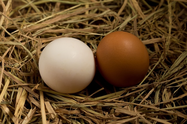 Egg. straw. on wood