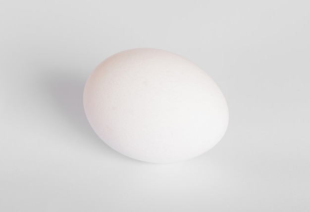 Egg on white background