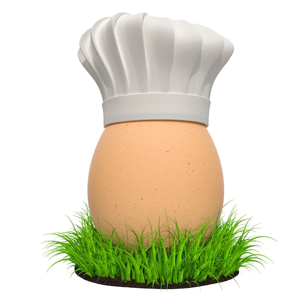 Egg with Chefs Hat in the green grass 3D rendering