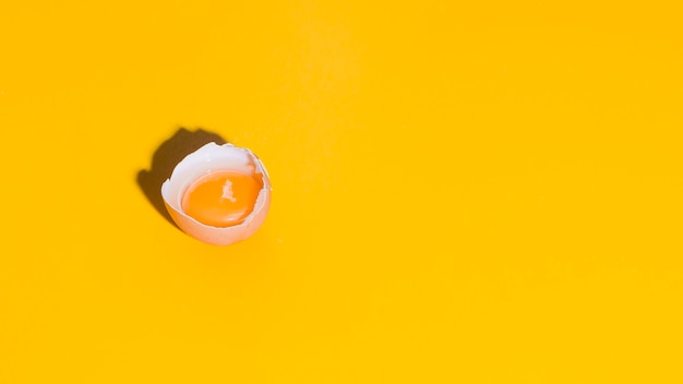 Foto uovo con sfondo di colore