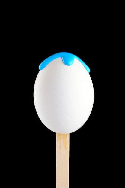 Photo egg on a wooden stick drenched colors